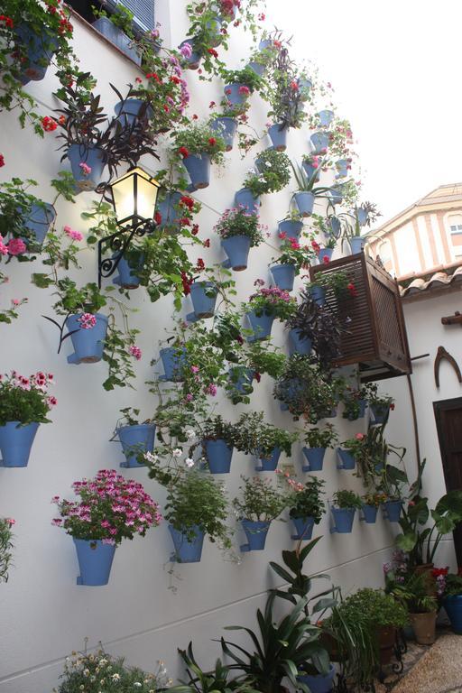 La Posada Del Infante La Puebla de los Infantes Dış mekan fotoğraf